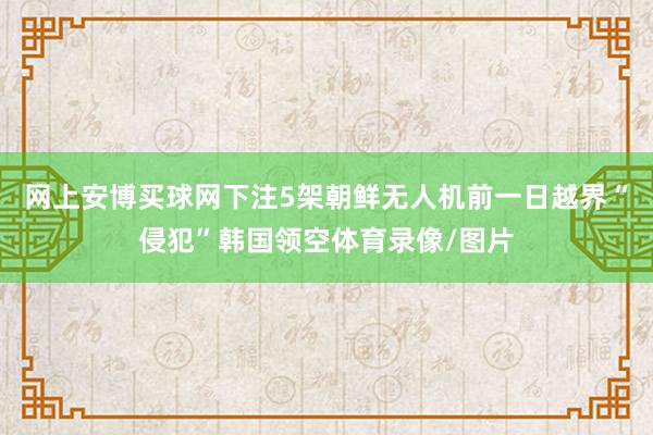 网上安博买球网下注5架朝鲜无人机前一日越界“侵犯”韩国领空体育录像/图片