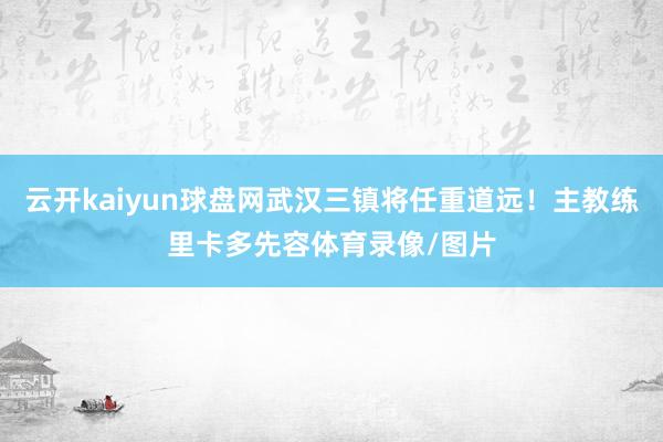 云开kaiyun球盘网武汉三镇将任重道远！主教练里卡多先容体育录像/图片