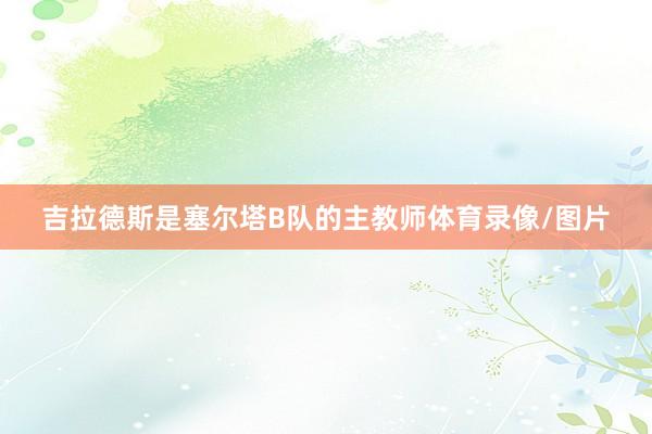 吉拉德斯是塞尔塔B队的主教师体育录像/图片