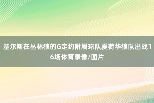 基尔斯在丛林狼的G定约附属球队爱荷华狼队出战16场体育录像/图片