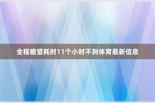 全程瞻望耗时11个小时不到体育最新信息